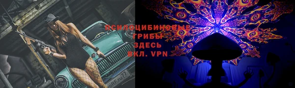 гидропоника Пролетарск