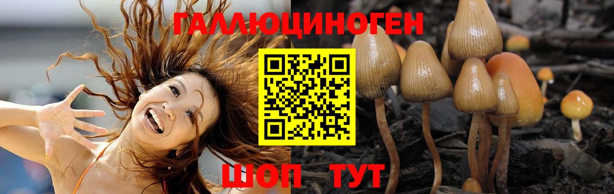 Галлюциногенные грибы Psilocybe  купить  сайты  Сердобск  Псилоцибиновые грибы MAGIC MUSHROOMS  Вход с VPN 