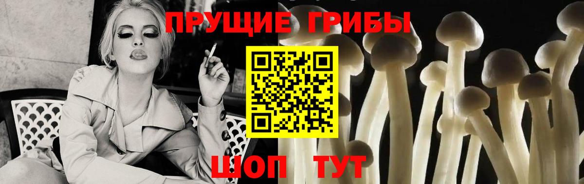 Галлюциногенные грибы MAGIC MUSHROOMS  Псилоцибиновые грибы прущие грибы  Сердобск 
